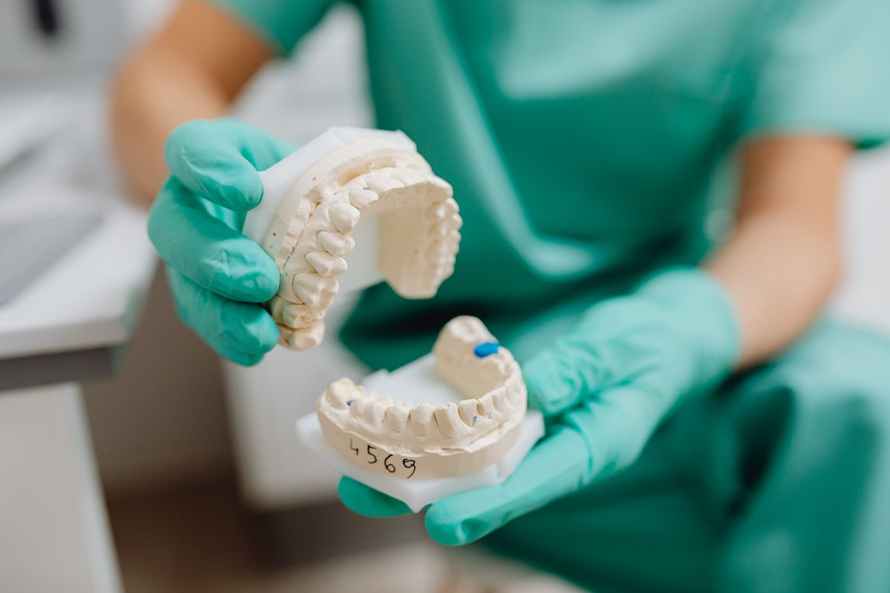Dentist holding a dental cast of teeth